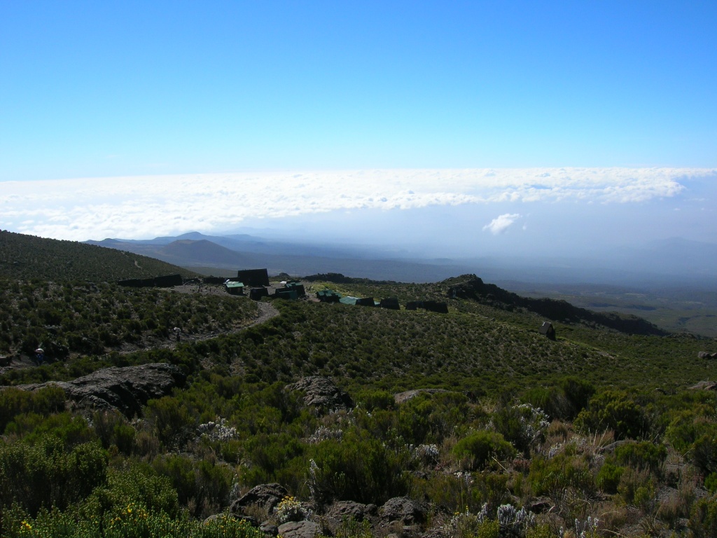 Kilimanjaro FEB 06 (307).JPG