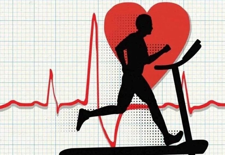 Физическая активность, как профилактика заболеваний сердечно-сосудистой системы