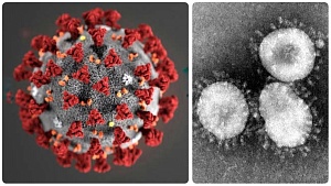 ВОЗ: заболеваемость коронавирусом в мире за последний месяц выросла на 52%